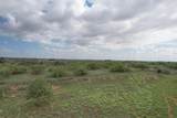  237.5 Acres Cottle County - Photo 55