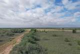  237.5 Acres Cottle County - Photo 56