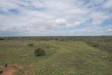  237.5 Acres Cottle County - Photo 57
