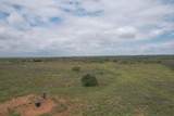  237.5 Acres Cottle County - Photo 58