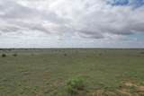  237.5 Acres Cottle County - Photo 59