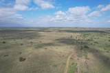  237.5 Acres Cottle County - Photo 6