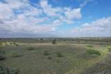  237.5 Acres Cottle County - Photo 60