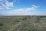  237.5 Acres Cottle County - Photo 61