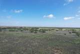  237.5 Acres Cottle County - Photo 62