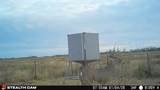  237.5 Acres Cottle County - Photo 64