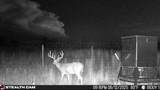  237.5 Acres Cottle County - Photo 66