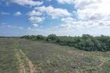  237.5 Acres Cottle County - Photo 7