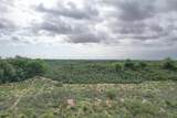  237.5 Acres Cottle County - Photo 8