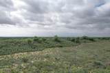  237.5 Acres Cottle County - Photo 9