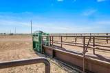14500 Hale Road - Photo 39