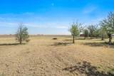 14500 Hale Road - Photo 44