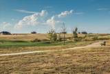 6801 White Bluff Trail - Photo 38
