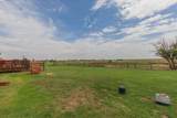 11061 Fox Street - Photo 47