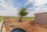 11061 Fox Street - Photo 54
