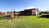 403 Grace Street - Photo 1
