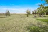 14500 Hale Rd - Photo 25