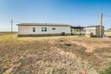 103 4th Street - Photo 19