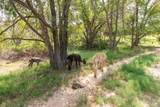21401 Hope Road - Photo 150