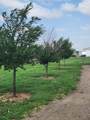 10300 Dobie Street - Photo 7