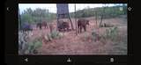1390 County Road 2 - Photo 80