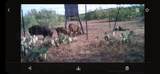 1390 County Road 2 - Photo 81