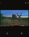 1390 County Road 2 - Photo 83