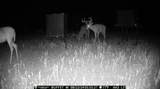 1390 County Road 2 - Photo 86
