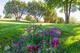 13841 Tangle Aire Point - Photo 4