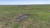  Wise Ranch 3,433.84 Acres - Photo 9