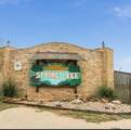 17301 Spring Lake Drive - Photo 3