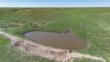  Wise Ranch 3,433.84 Acres - Photo 3
