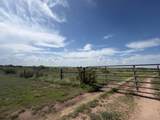 12177 Fm 2362 - Photo 56