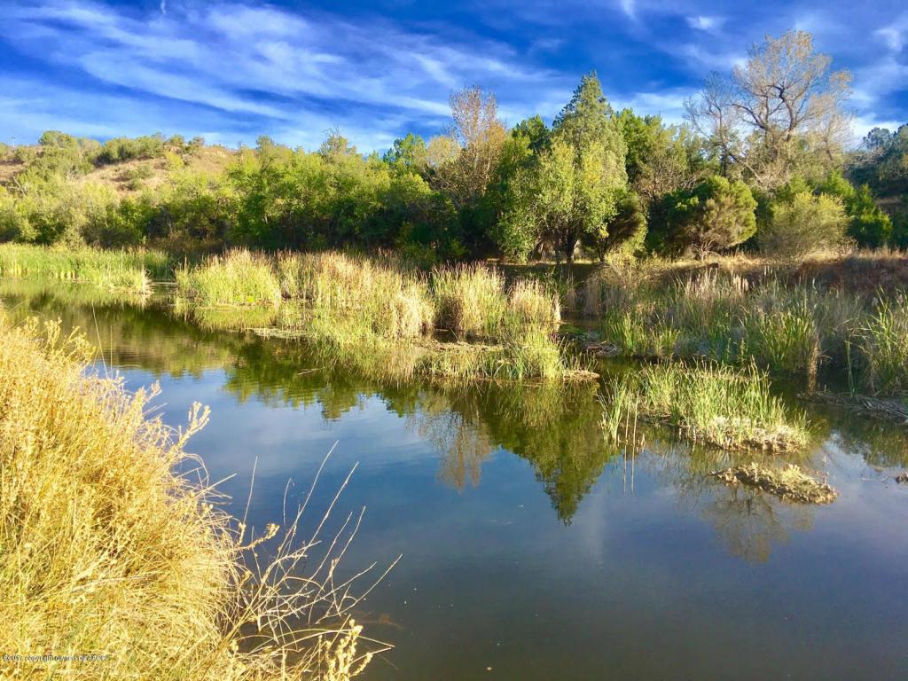 17051 Little Falls Trail - Photo 1