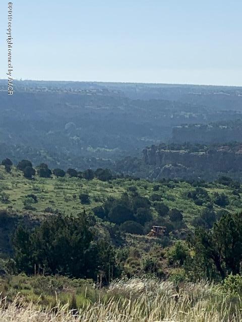 7801 Canyon Bend Rd - Photo 1