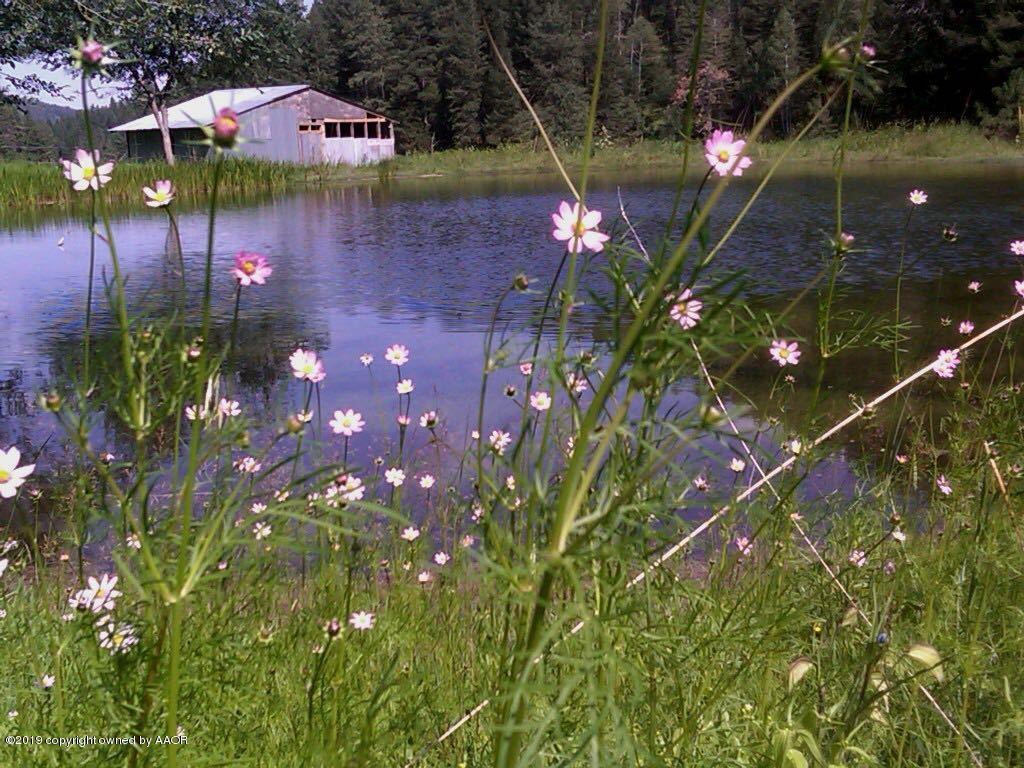 Address Not Published Cloudcroft Nm 88317 19 766 Landmark