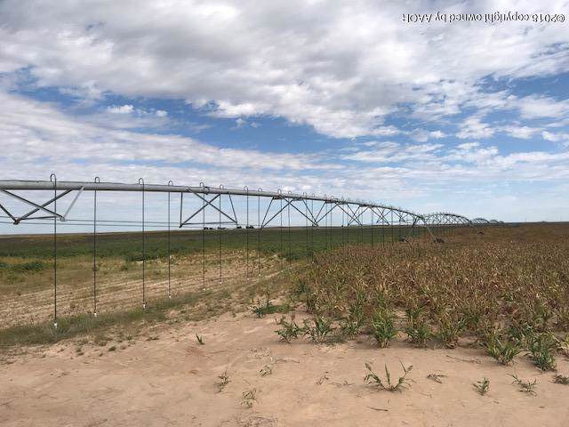 Sherman County +/-720 - Photo 1