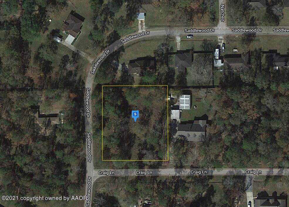 000 Craig Ln - Photo 1