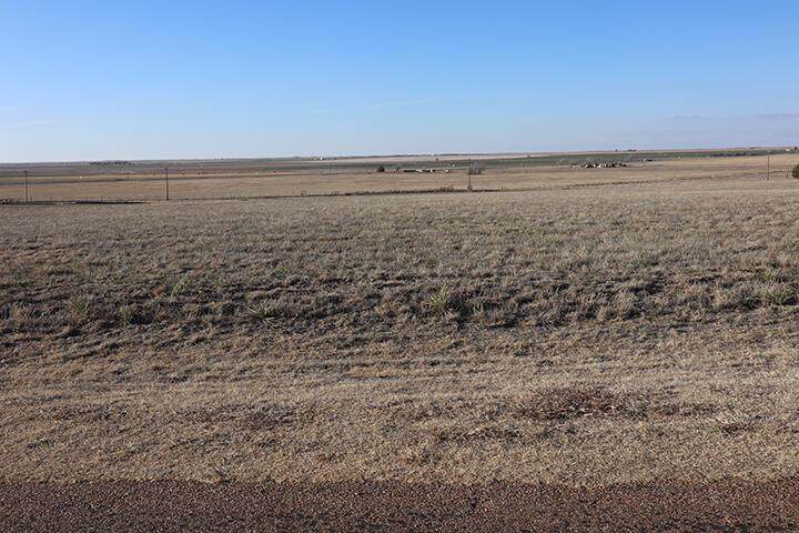  Lot 27, Yucca Hills - Photo 1
