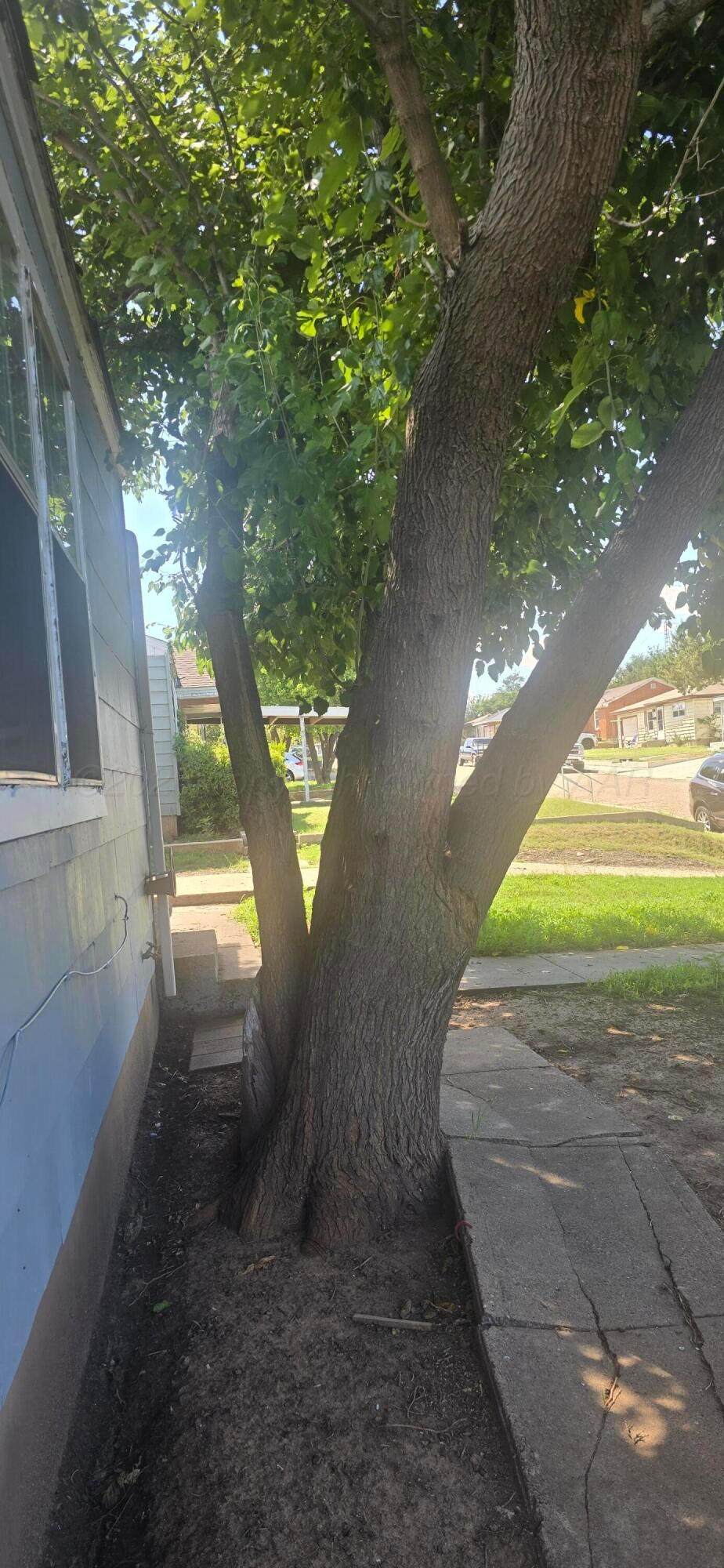 https://bt-photos.global.ssl.fastly.net/amarillo/1280_boomver_1_26-5644-2.jpg