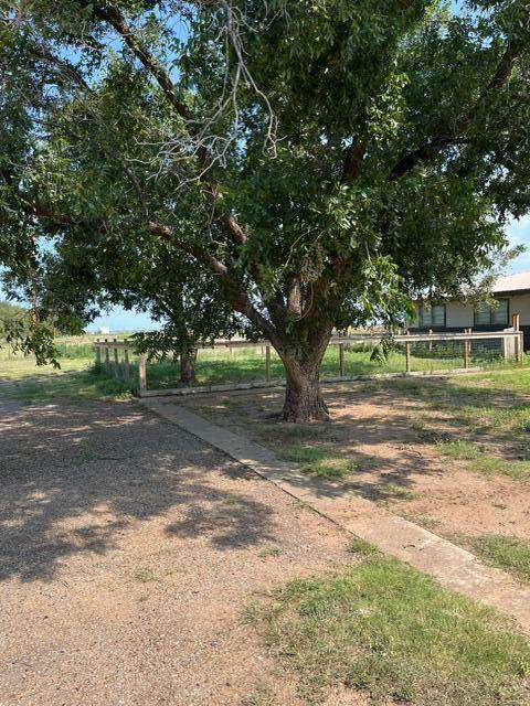 5099 Boykin Drive - Photo 1