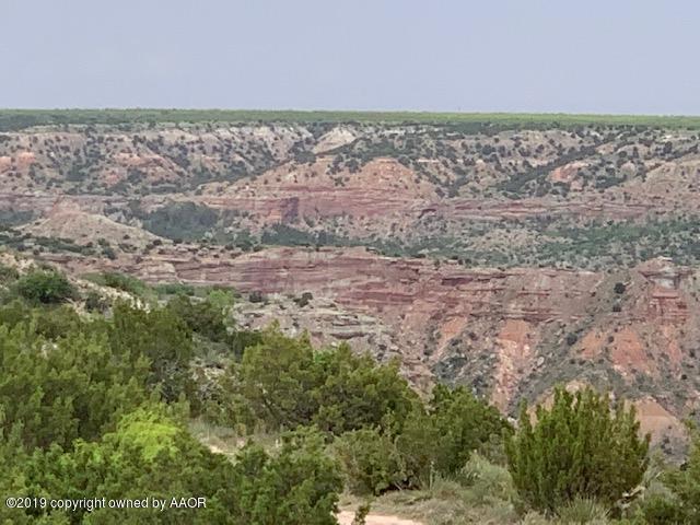 11100 Indian Camp Trl - Photo 1