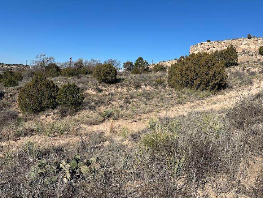 0 Canyon Creek Drive - Photo 1