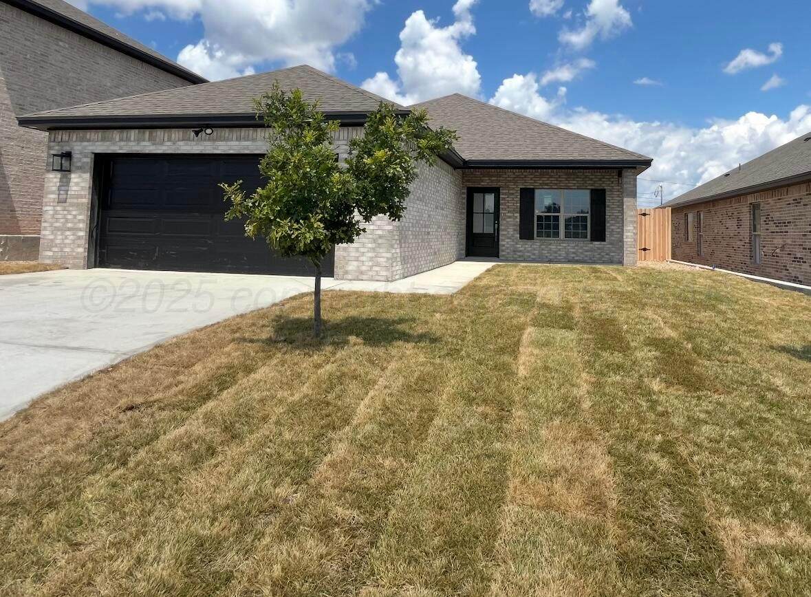 1703 Fox Terrier Avenue - Photo 1