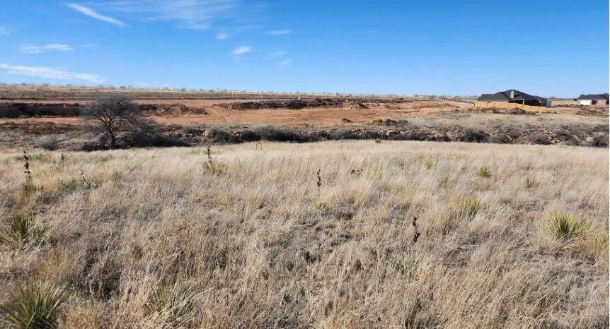 1651 Blakely Hollow - Photo 1