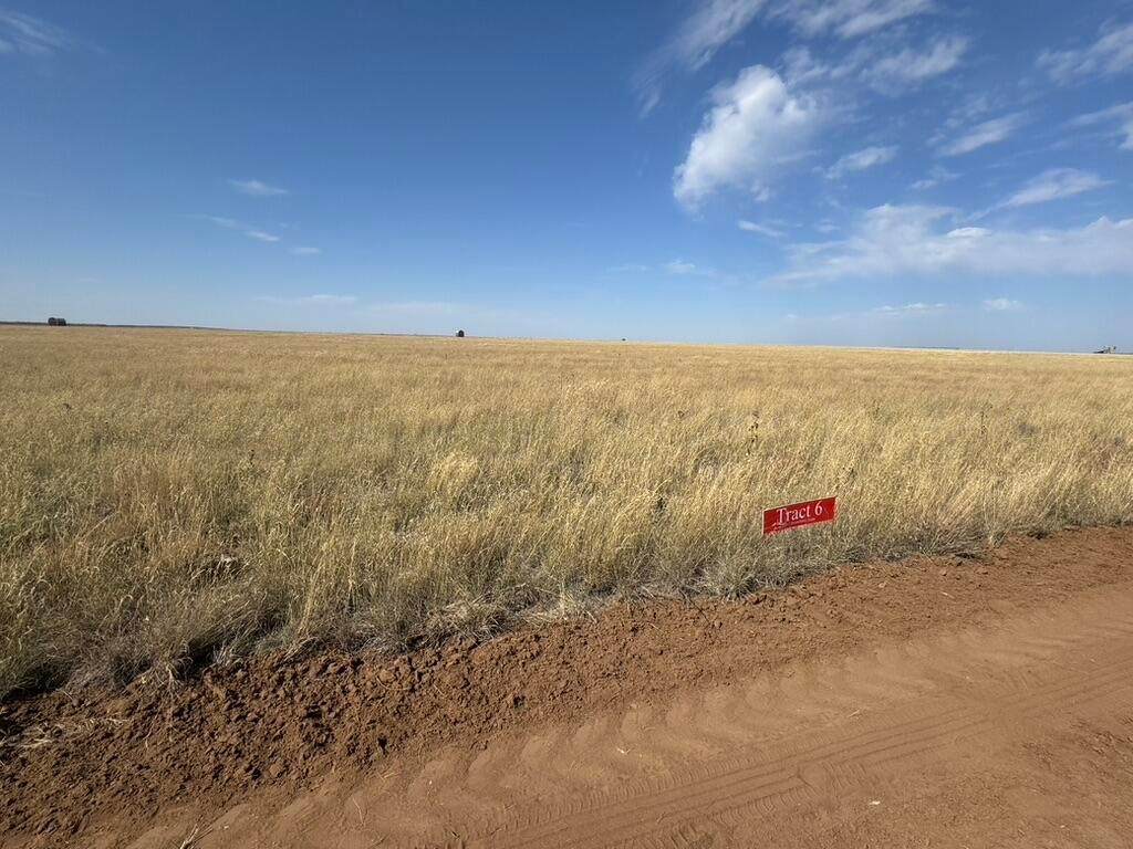 11225 Strawberry Lane - Photo 1