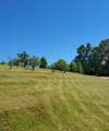 230 Kudzu Drive - Photo 29