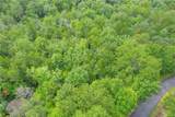 LOT 13 Right Branch Drive - Photo 29
