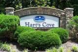 313 Harts Cove Way - Photo 18