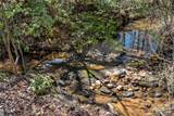 212 Morgan Drive - Photo 44